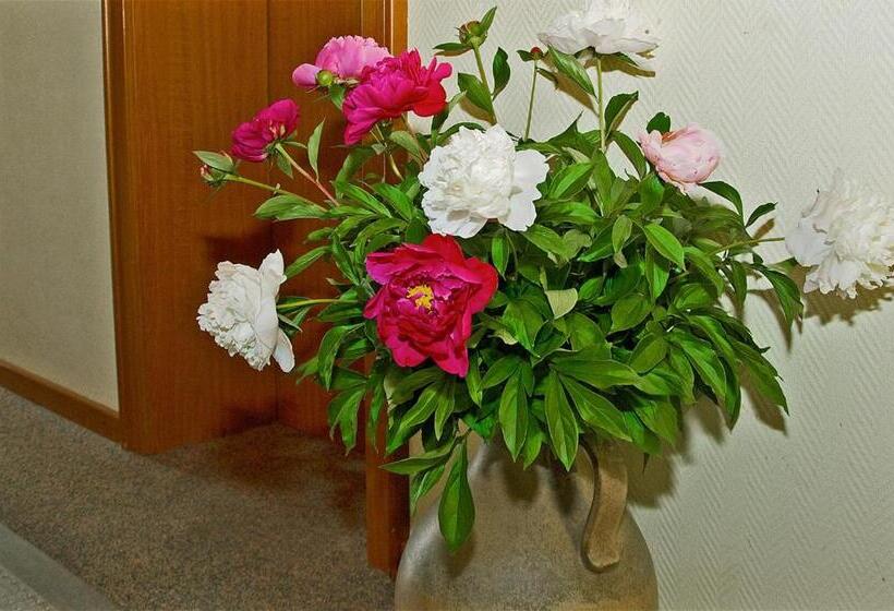 ホテル Pension Seirer