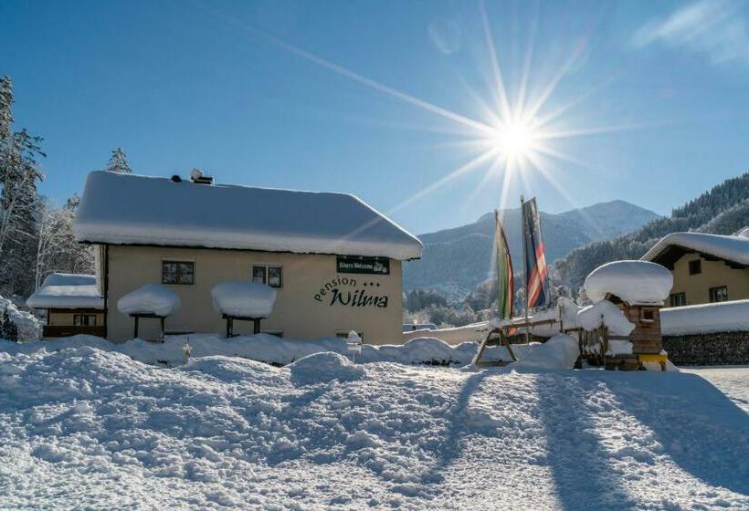 酒店 Pension Wilma