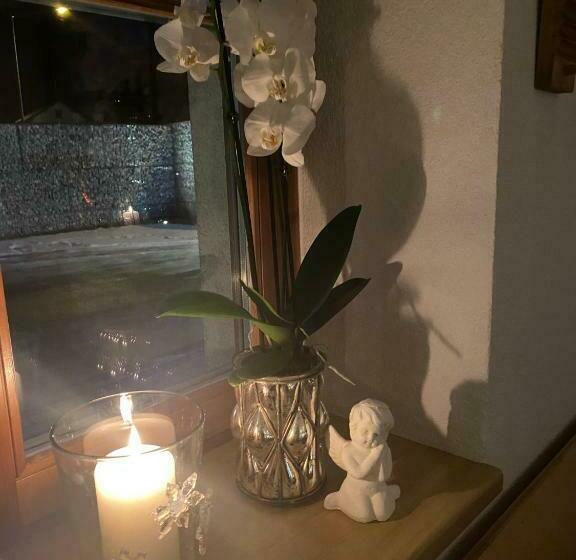 酒店 Pension Wilma