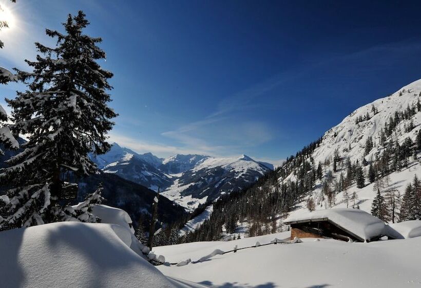 酒店 Restaurant Rosengarten