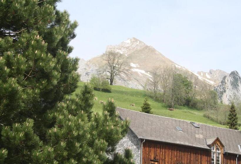 ホテル Restaurant Schönau