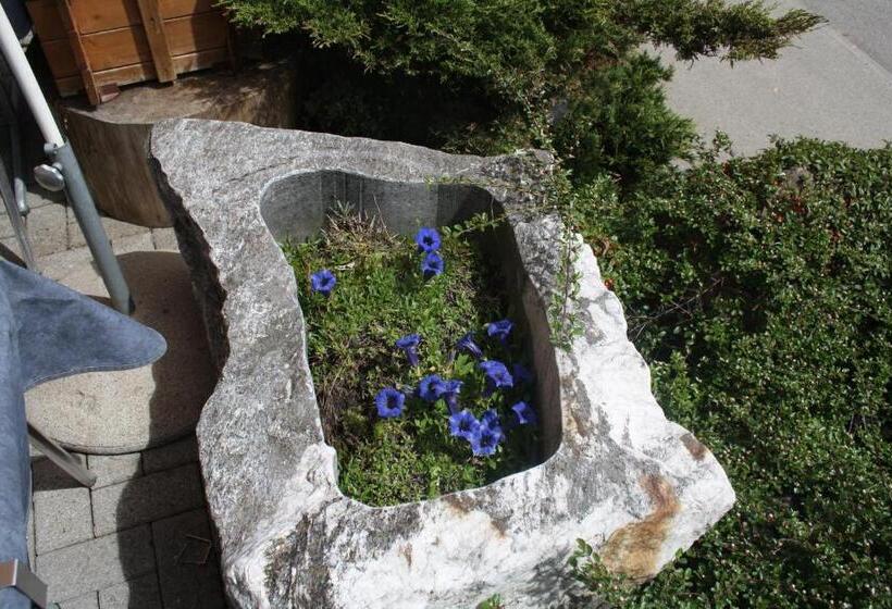 ホテル Restaurant Schönau