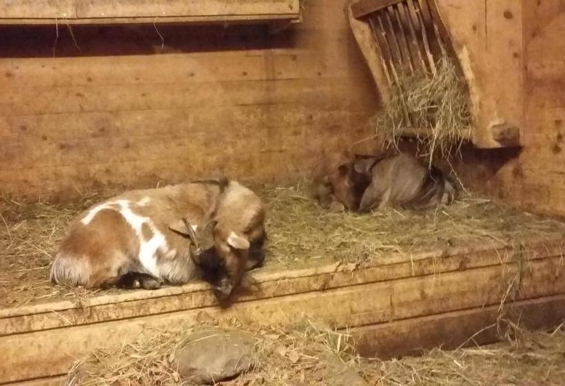 ホテル Restaurant Schönau