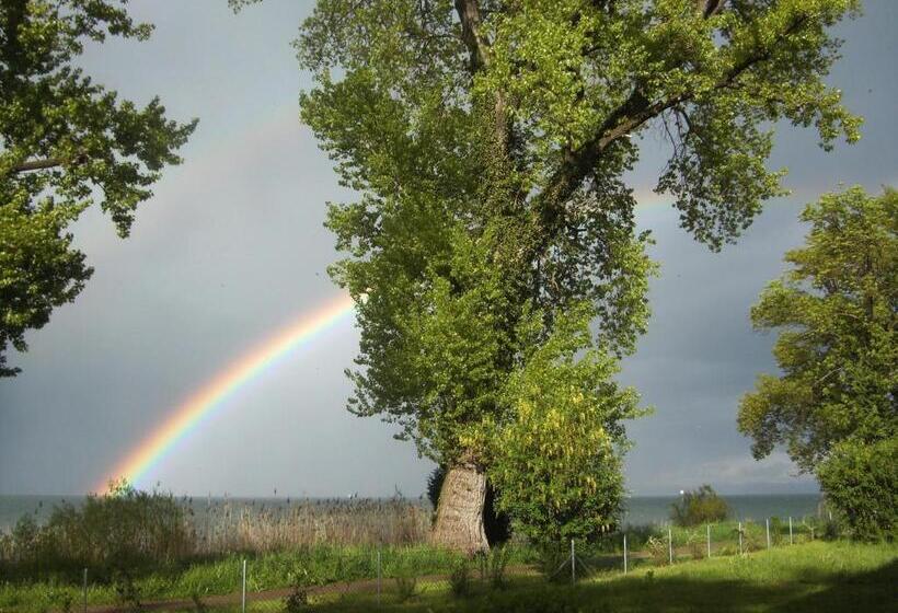 ホテル Restaurant Sokrates