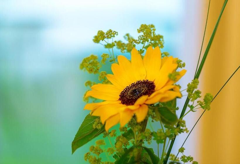 ホテル Restaurant Sokrates