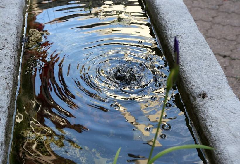 فندق Roter Ochsen