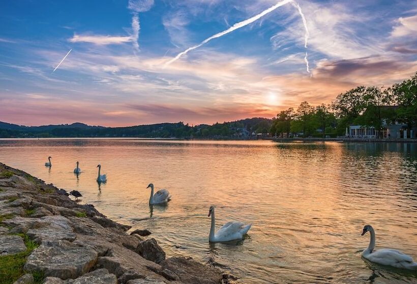 فندق Stadler Am Attersee