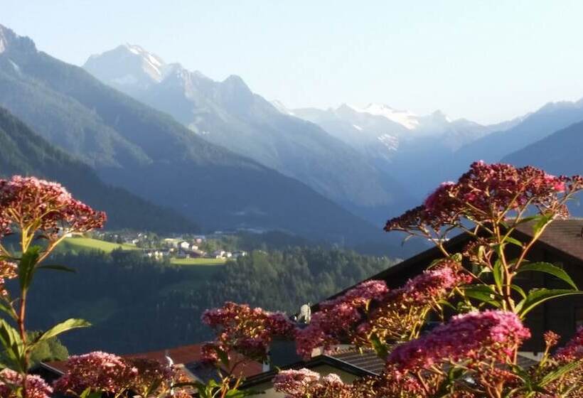 酒店 Tiroler Alpenhof