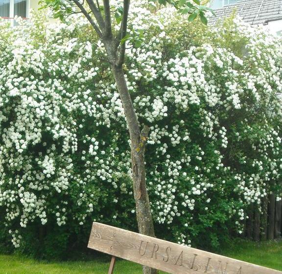 ホテル Garni Ursalina Bad Ragaz