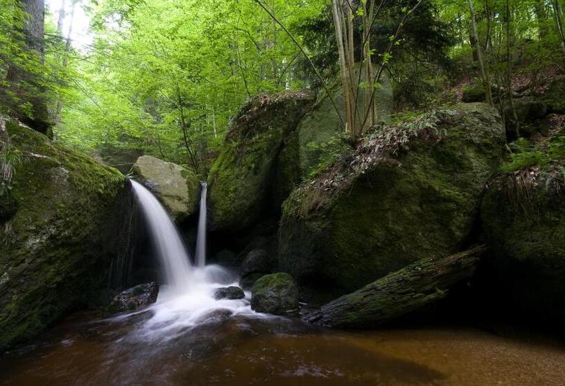בית מלון כפרי Wirtshausbrennerei Krenn