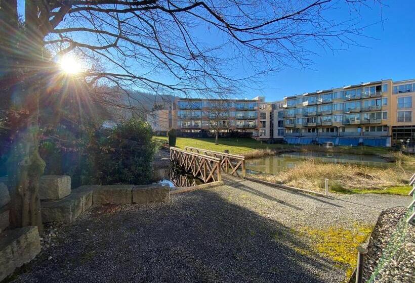 Dorint Parkhotel Bad Zurzach