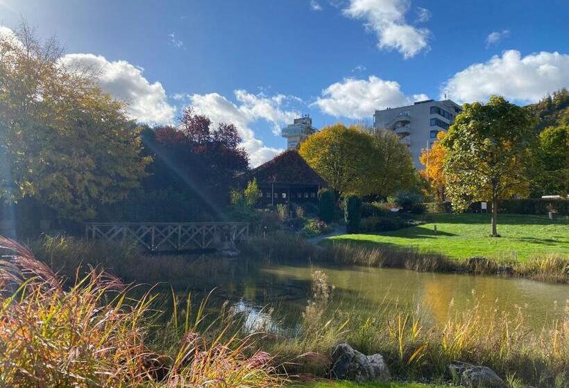 Dorint Parkhotel Bad Zurzach