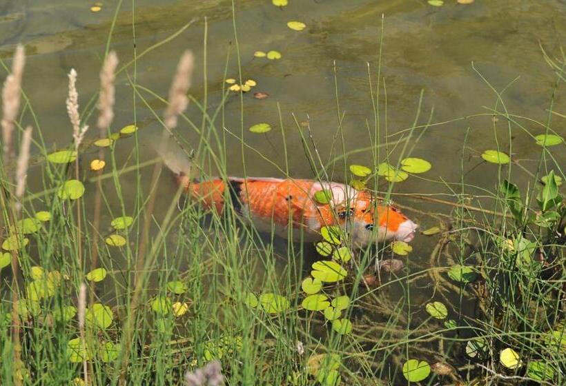 Dorint Parkhotel Bad Zurzach