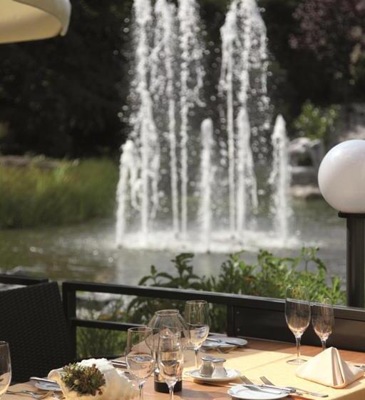 Dorint Parkhotel Bad Zurzach