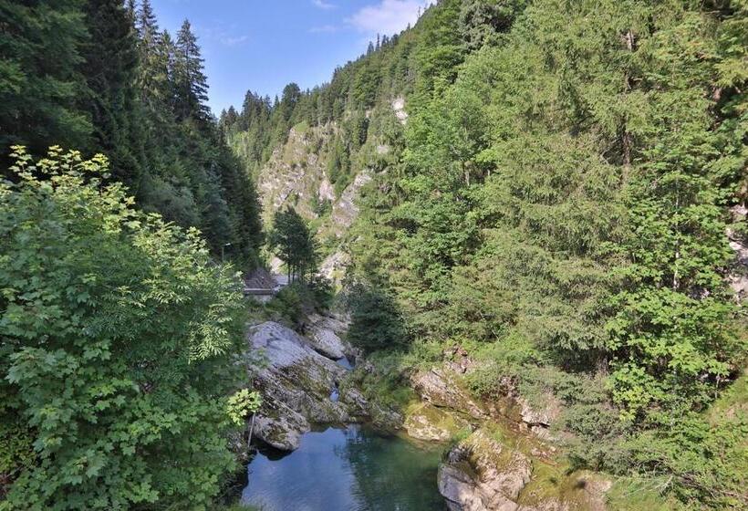 Ruhehotel & Naturresort Rehbach   Adults Only