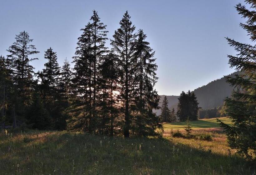 Ruhehotel & Naturresort Rehbach   Adults Only