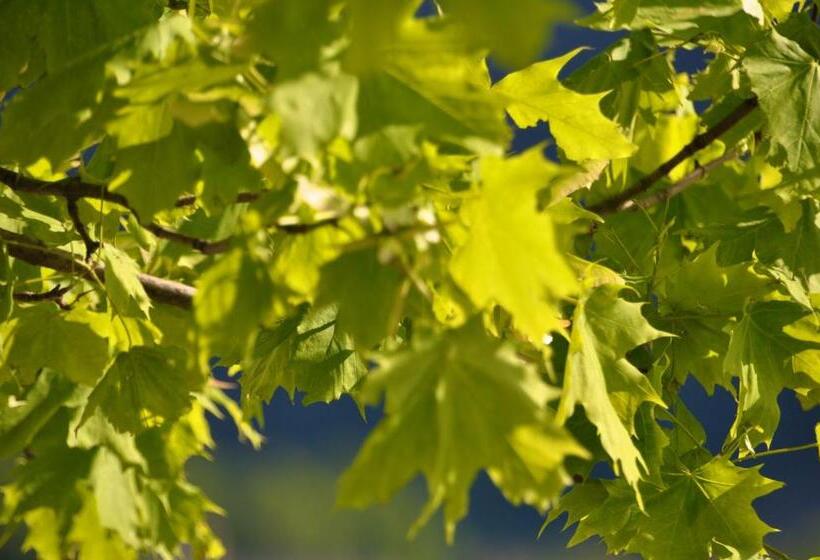 See Hotel Post Am Attersee