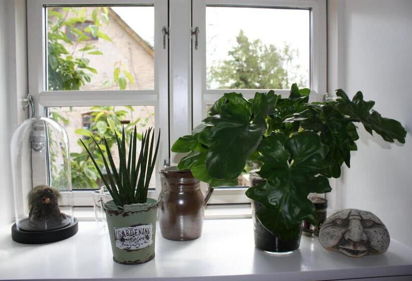 Akaciegaarden Bed & Breakfast