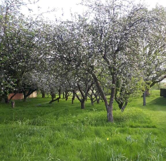 住宿加早餐 Blackbrook House