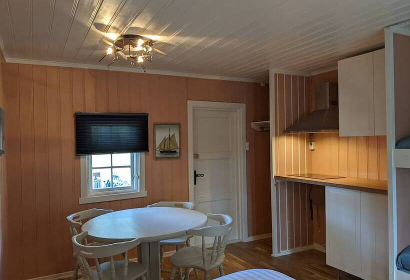 ベッドアンドブレックファースト Neset Skydsstasjon