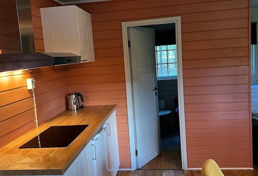 ベッドアンドブレックファースト Neset Skydsstasjon