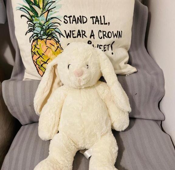 Toronto Bed & Breakfast   Free Parking, Subway Access