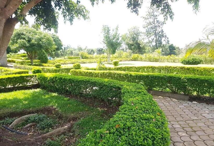 C And G Resort Hotel Hoima