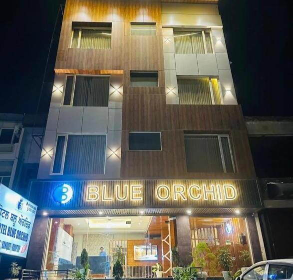 فندق Blue Orchid