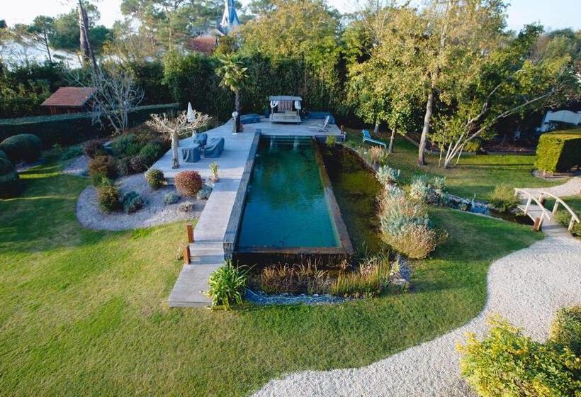 호텔 Dream Home Vang Vieng