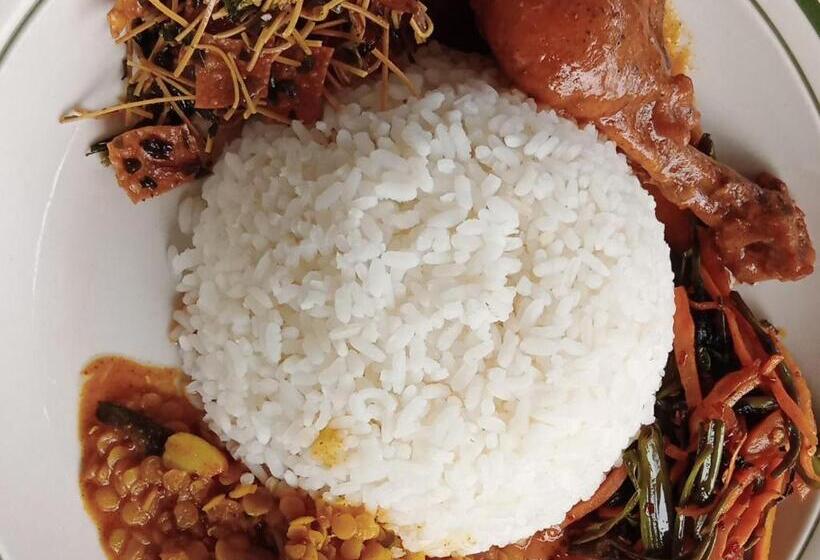 בית מלון כפרי Hostel Kandy Green Mirror