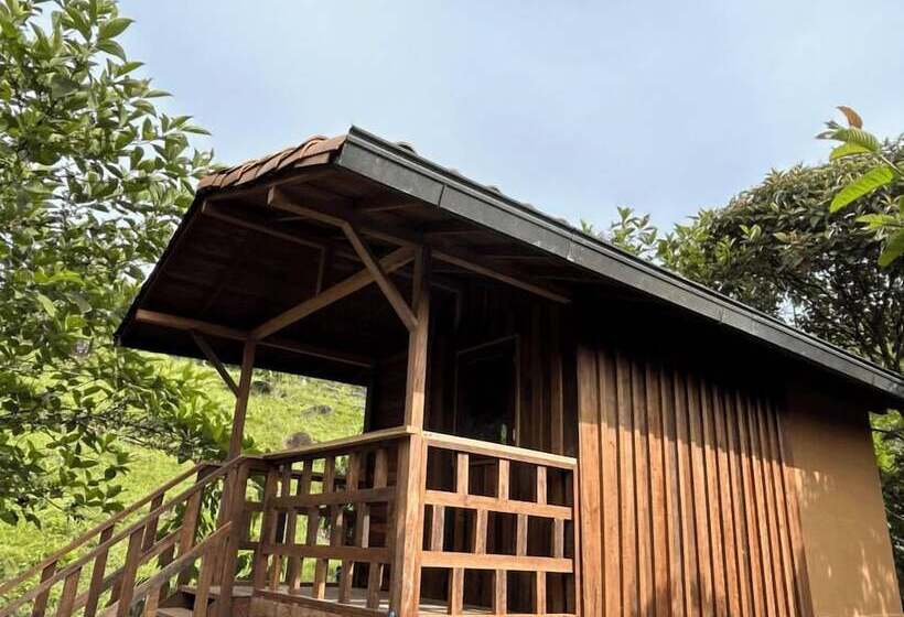 בית מלון כפרי Ritmo Del Rio