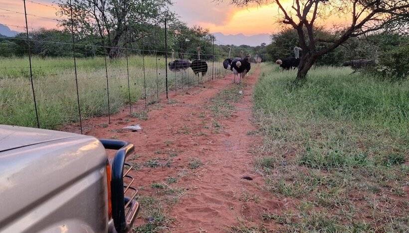 ホテル Thandolwami Bush Lodge & Spa