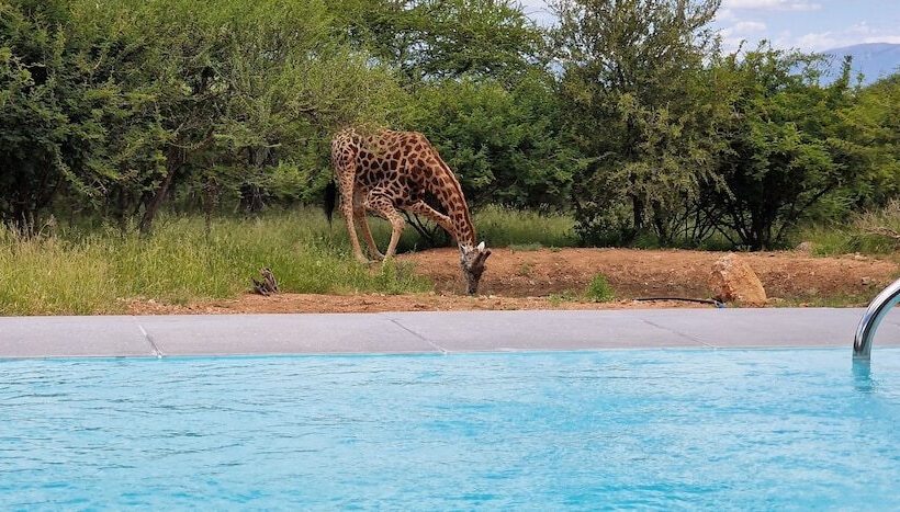 酒店 Thandolwami Bush Lodge & Spa