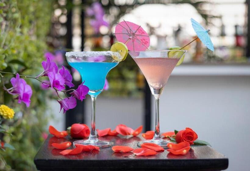 Отель The Five Senses Boutique