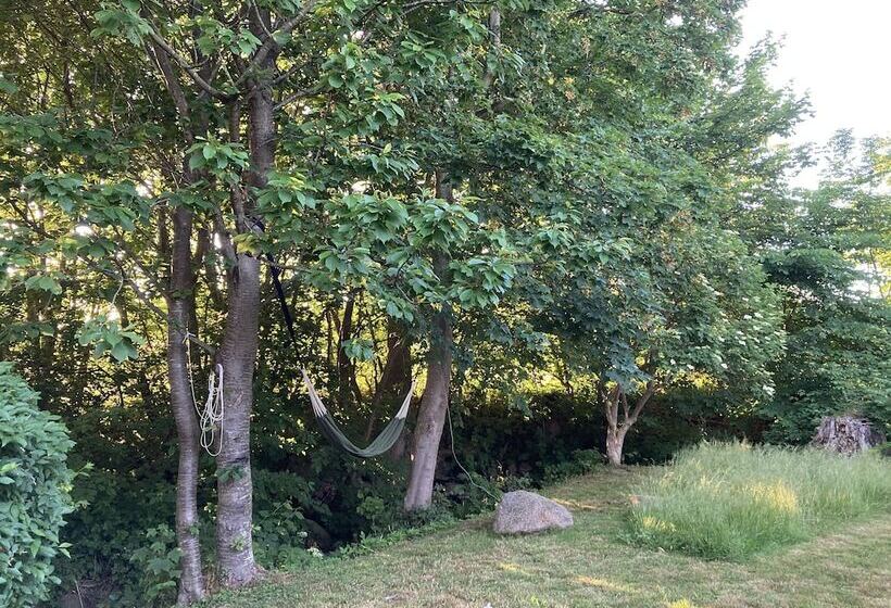 پانسیون Residens Svalhøj