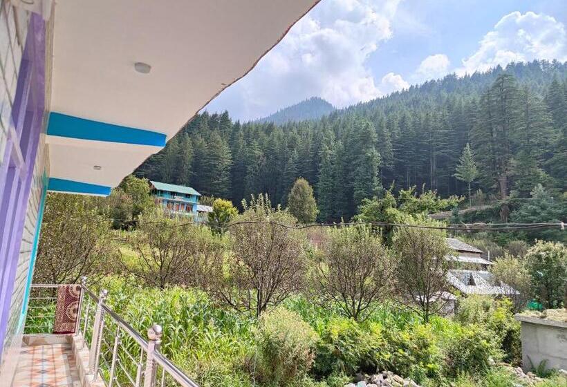 بنسيون Sunshine