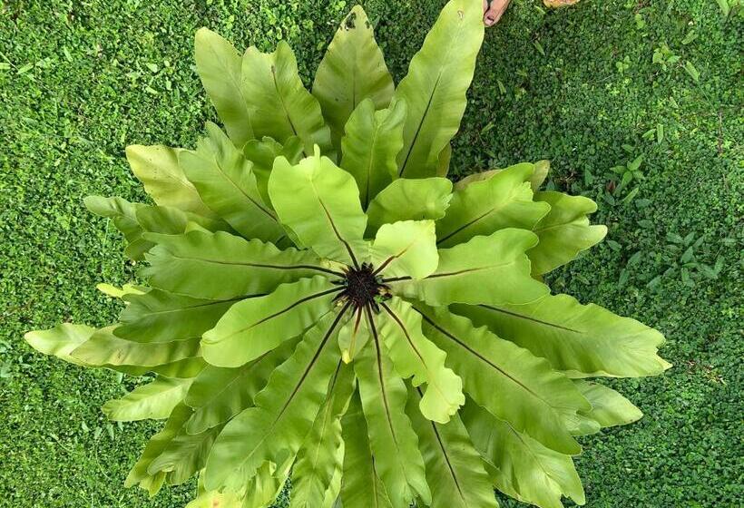 Пансион The Escape With Jadeon