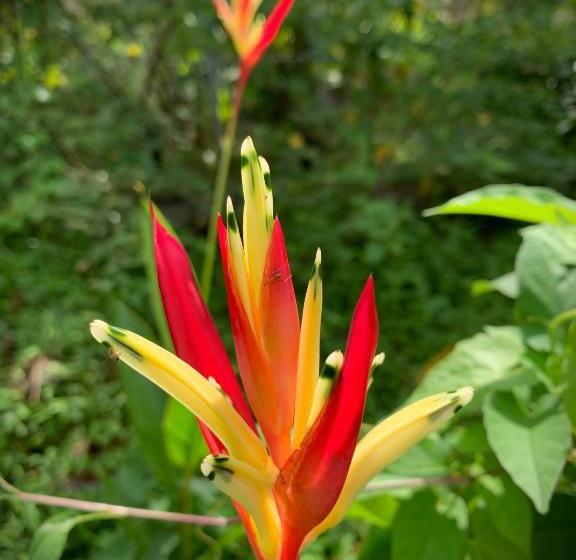 Пансион The Escape With Jadeon