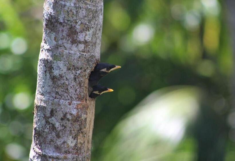 Пансион The Escape With Jadeon