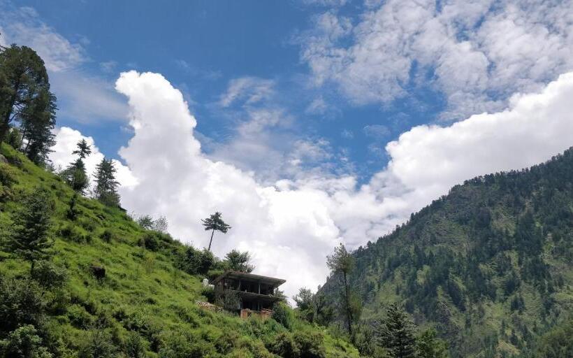 Pineview Hostel And Cafe