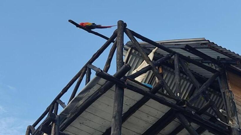 Albergue Lupita Casita De La Playa