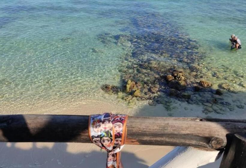 Albergue Lupita Casita De La Playa