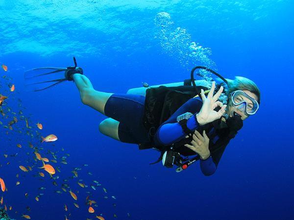 Albergue Lupita Casita De La Playa