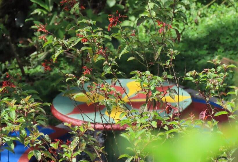 فندق صغير Montaña Verde