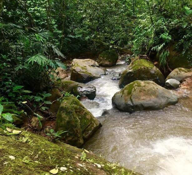 فندق صغير Montaña Verde