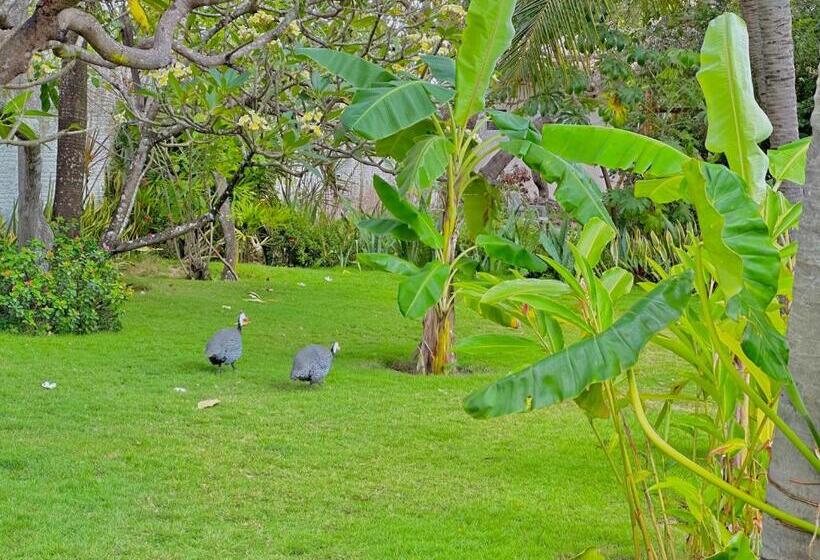 旅馆 Pousada Casa Eco Paracuru