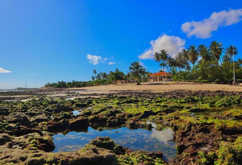 旅馆 Pousada Casa Eco Paracuru