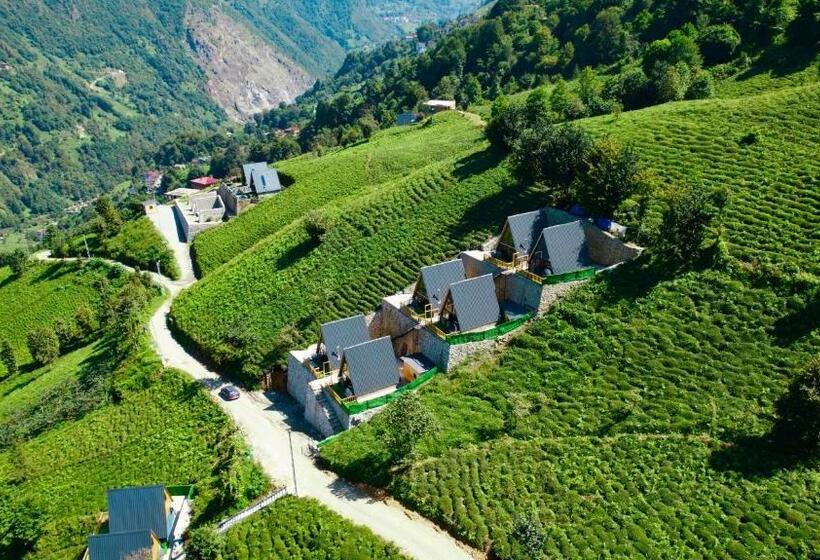 צימר Bgc Suit Bungalov