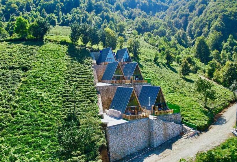 צימר Bgc Suit Bungalov