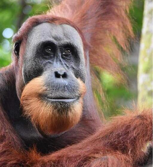 مبيت وإفطار Eco Trekking Lodge Bar & Tour S